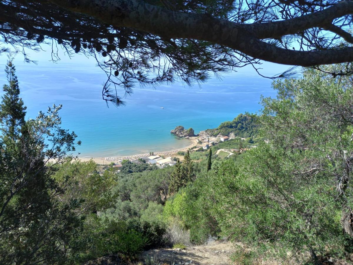 Tolis Aparts Pelekas Extérieur photo